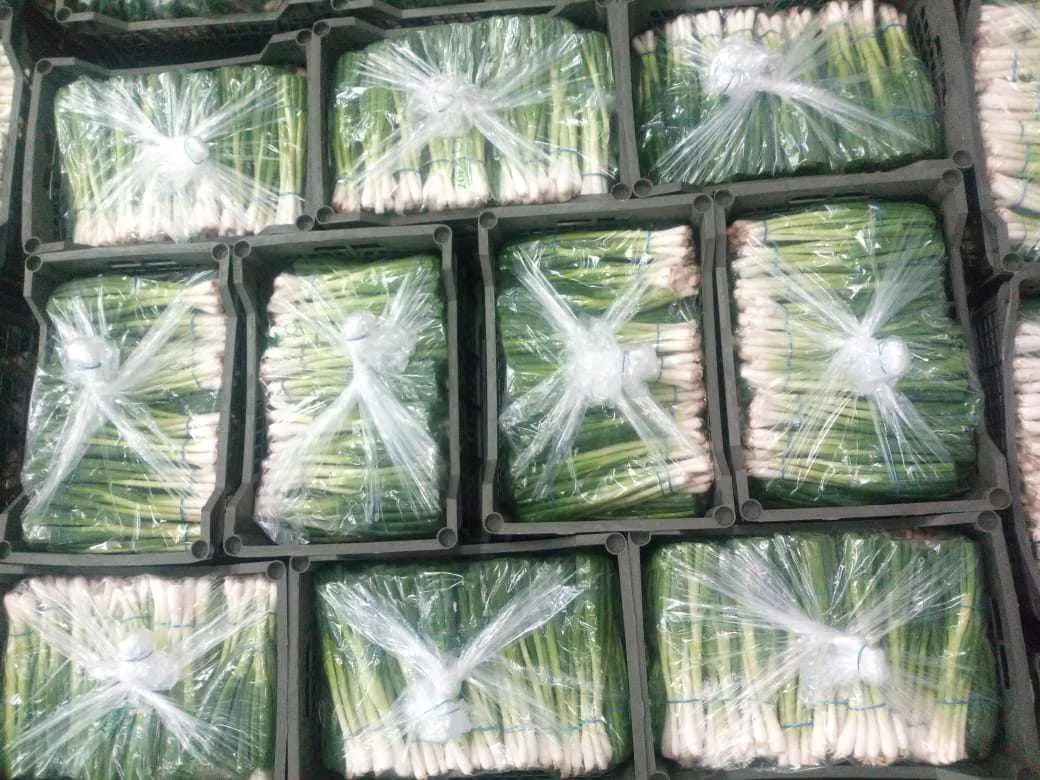 Spring Onions