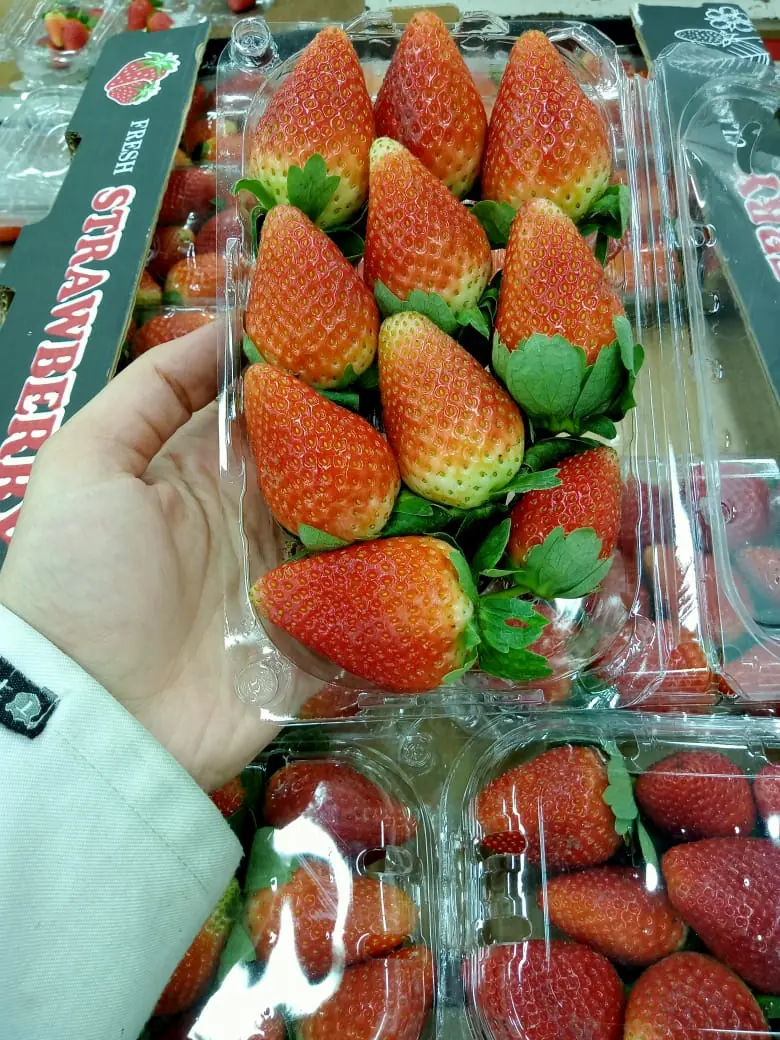 Close view of fresh strawberries in a punnet